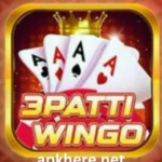 3 Patti Wingo