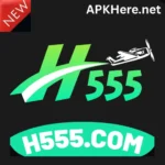 H555 Game